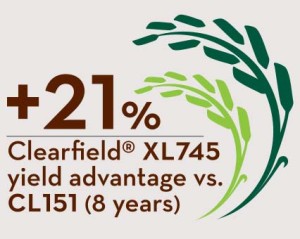 +21% XL745 yield advantage vs. CL151 (8 years)