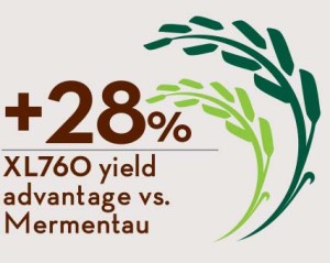 +28% XL760 yield advantage vs. Mermentau